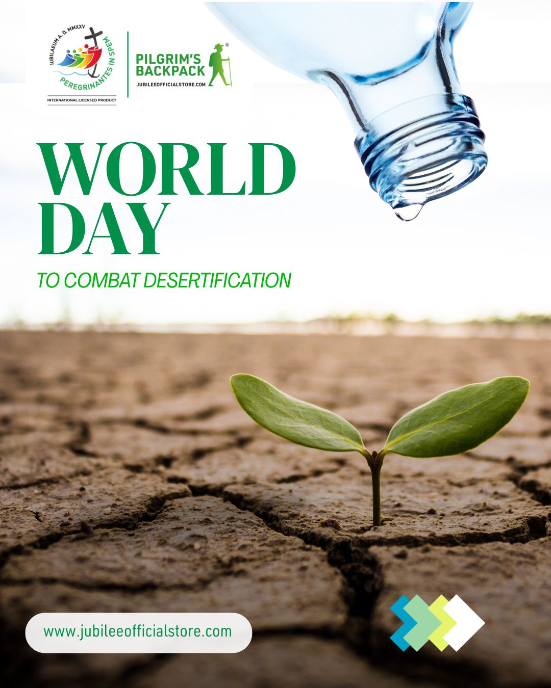 Giornata Mondiale contro la Desertificazione: scegli un accessorio sostenibile per il tuo cammino giubilare