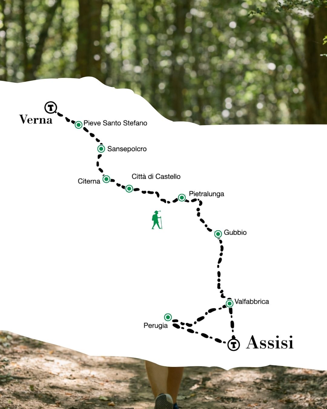 La Via di Francesco – Il cammino del Nord da La Verna ad Assisi