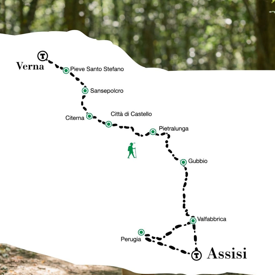 La Via di Francesco – Il cammino del Nord da La Verna ad Assisi